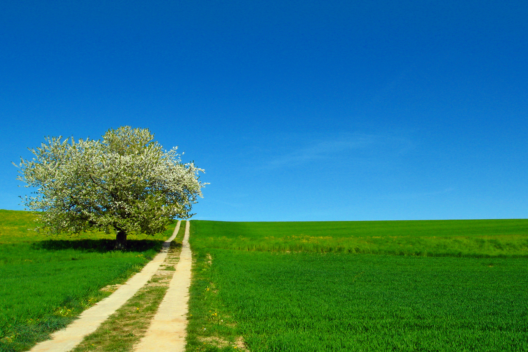 10023__c__Sunlove_-_Fotolia